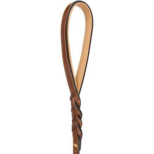 Soft Touch Collars Leather Braided Dog Leash, Brown with Leather Padded Handle, 6 Foot