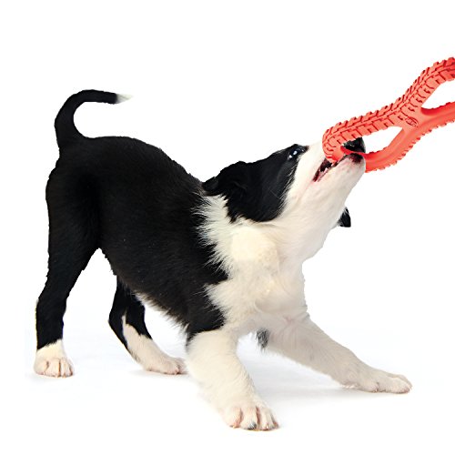 Nerf Dog 10" Tire Infinity Tug Durable Dog Toy, Red, Large