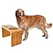 Pawfect Pets Large 12