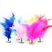 TangTanger 20 pcs Chicken Feathers Shuttlecock Sports Training Dedicated Goose Spline Multicolor Flower Shuttlecock Chinese Jianzi Sport