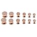 BodyJ4You Rose Goldtone Screw Fit Plugs Sugar Glitter 8 Gauge - 00 Gauge - 2 Pieces