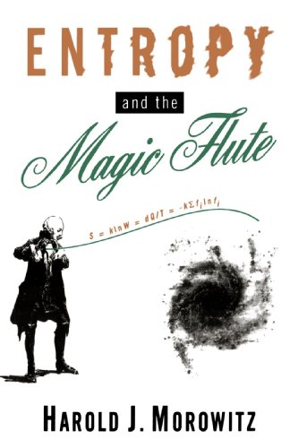 Entropy and the Magic Flute