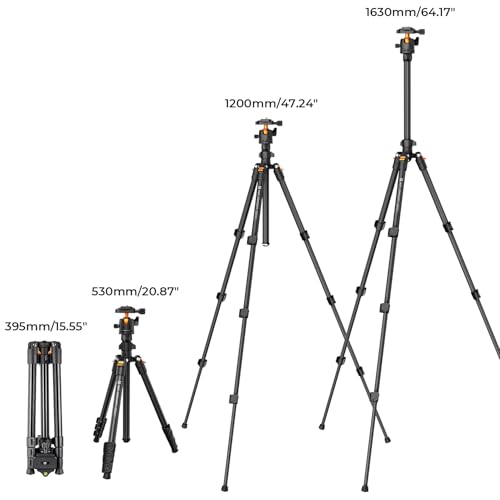 K&F CONCEPT 64 inch/163cm Camera Tripod,Lightweight Aluminum Travel Outdoor Tripods with Metal Ball Head Load Capacity 8kg/17.6lbs,Phone Holder, Quick Release Plate, for DSLR Cameras O234A1+BH-36