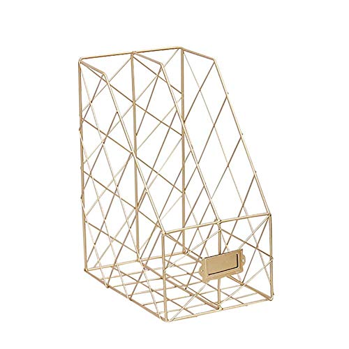 DEVICE OF URBAN INFOTECH Metal Wire File/Magazine/Book Holder, 2 Slot Bookshelf File Frame Storage Rack Organizer, Decorative File/Newspaper Holder for Office, Living Room & Study Table (Golden)