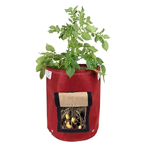 cool unique items related to Patio, Lawn & Garden most trending gift items that are Pots, Planters & Container Accessories, under $25, cool items