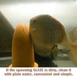 Fish Breeding Cones Cave, Ceramic Spawning Breed