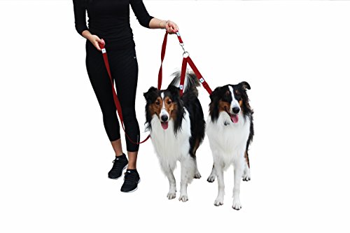 Caldwell's Pet Supply Co. No Tangle Dog Leash Coupler, Double Dog Walker - Trainer Leash - Two Dogs Adjustable Splitter Lead 1 X 11-20 Inches