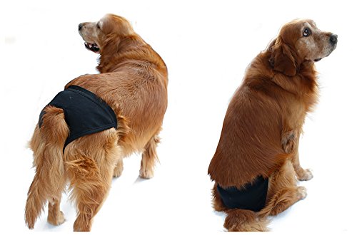 DogLemi Protective Dog Diapers Nappy Pants (Black, X Large)