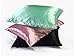 BLISSFORD Luxury Satin Pillowcase for Hair – Standard Satin Pillowcase with Zipper, Black (1 per Pack)