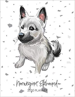 norwegian inuit dog