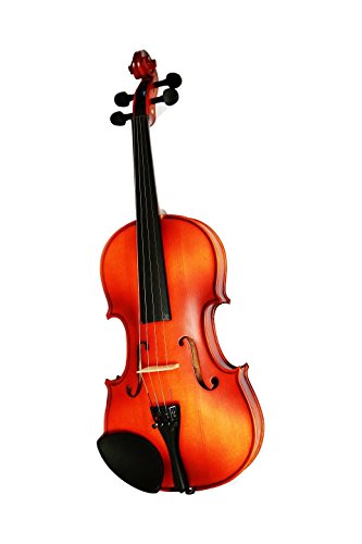 image for Vio Music 4/4 Natural Wood Violin Package, All in One with Hard Case, 