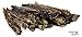 Peppy Pooch Bully Sticks Small 20 Pack. All-Natural American Beef Dog Chews. Made in The USA.