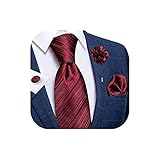 DiBanGu Silk Ties for Men Necktie and Lapel Pin