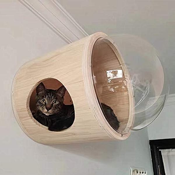 cat tunnel wall