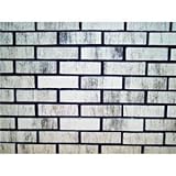 Zygrove Corp/Z-Brick Brands Zc016205 Ctn 20 Silver Brick Facing Decorative Brick