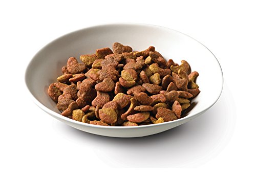 PURINA FANCY FEAST DRY CAT FOOD WITH SAVORY FARM-RAISED CHICKEN AND TURKEY – 3 LB. BAG