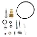 USPEEDA Carburetor Carb Rebuild Repair Kit for 7 8 9 10 HP 632347 632622 Tecumseh HM70 HM80 HM9 HH100 HMSK OHM120 OHV125 OVM120 HHM80 VH100 TVXL195 OHSK120 TVM195 TVM220 TVXL195 TVXL220