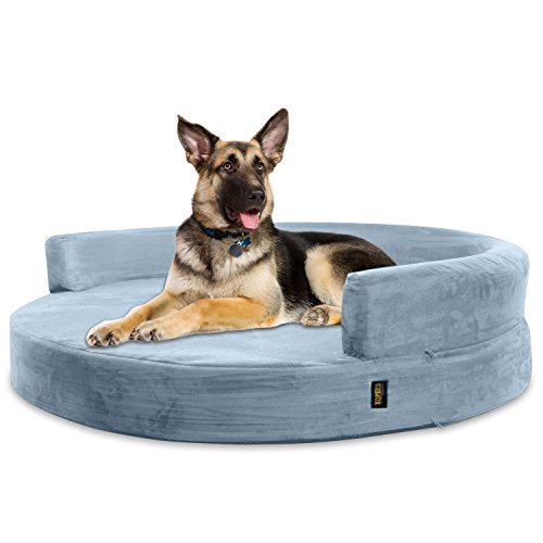 Best bull size bed frame