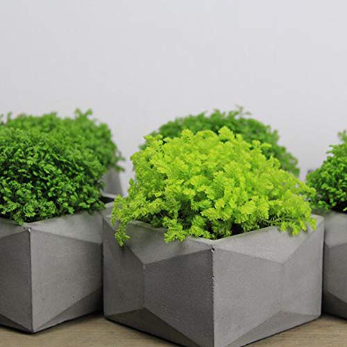 Nicole Cement Molds for Planters Large IY Silicone Concrete Succulent Planter Pot Mold Craft Decoration Tool