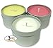 Candlecopia Monkey Farts, Butt Naked and Bite Me Strongly Scented Hand Poured Vegan Travel Tin Candles, 3 x 4 Ounce Tins