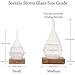 Weather Predicting Storm Glass Set-Elegant Weather Tear Drop Shaped Storm Glass Bottle with Wooden Base - Perfect Home and Office Decoration - Unique Idea & Conversation Starter