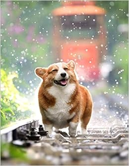 cool corgi