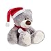 WILDREAM Christmas Plush Teddy Bear Stuffed Animals with Christmas Hat First Teddy Bear Plush for Boys Girls Soft Gifts for Thanksgiving Day/Birthday Christmas 10.8 Inches (Light Gary)