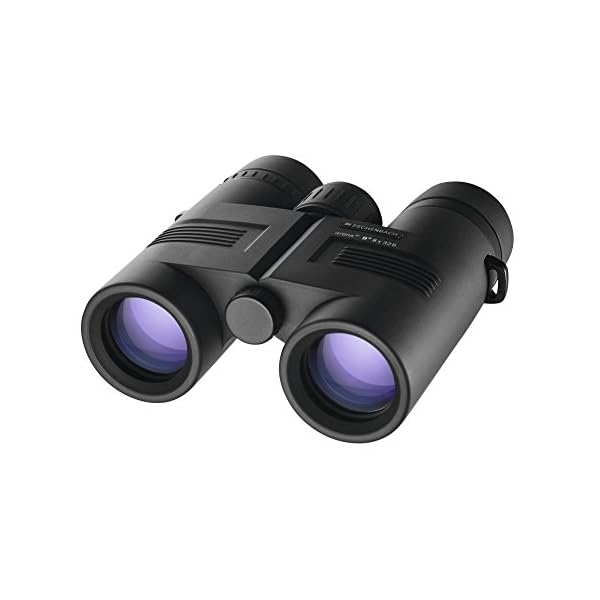 ESCHENBACH Optik 8x32 Arena D+ wetterfestes Fernglas - handliches Einstiegsmodell für Wanderungen, Vogelbeobachtungen, Veranstaltungen – Bild 4