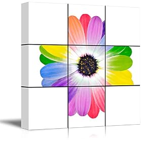 Black Background Flower Theme for Living Room Painting...