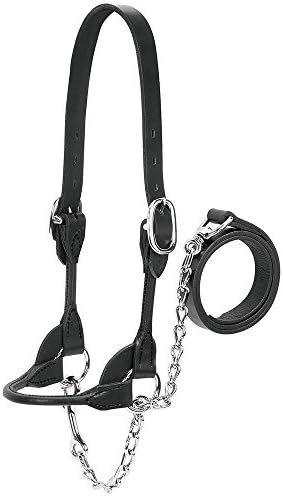 Weaver Leather Livestock Dairy/Beef Rounded Show Halter , Black, X-Large