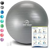 Exercise Ball - Professional Grade Anti-Burst Yoga Fitness, Balance Ball for Pilates, Yoga, Stability Training and Physical Therapy (Silver, 55cm (No Pump))