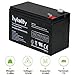 12V 8AH Rechargeable Sealed Lead Acid Battery, F2 Terminal, with Extra F2 to F1 Adapters