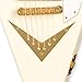 Gibson Reverse Flying V Limited Edition Electric Guitar
