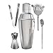 Stainless Steel Cocktail Shaker Set - 5 Piece Bartender Kit with Martini Shaker Strainer Jigger Shot Glass Stirring Spoon - Bartending Supplies Bar Tools Barware and Bartender Gifts Set - Silver