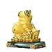 Bwinka 2019 Golden FengShui Pig with Lucky Coins Feng Shui Decoration for Luck & Wealth Perfect for Your Home or Office