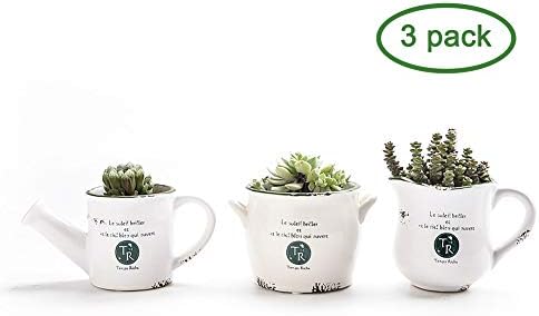 Ceramic Succulent Planter Pot with Drainage Hole (3 Shape) Cactus Flower Porcelain Holder Container Outdoor Indoor Home Office Decoration, Set of 3