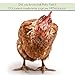PICKY NEB Dried Mealworms 100% Non-GMO 30 Oz - Mealworms for Birds, Chickens, Ducks - Perfect High-Protein Treats - Whole Large Meal Worms, Dried for Chickens and Bluebird Food Bulk