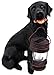 Black Labrador Dog with Lantern Garden Solar Light