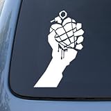 GREEN DAY AMERICAN IDIOT - Vinyl Decal Sticker #A1428 | Vinyl Color: White