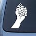 GREEN DAY AMERICAN IDIOT - Vinyl Decal Sticker #A1428 | Vinyl Color: White