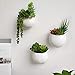 Mkono Wall Planter with Artificial Plants, Decorative Potted Fake Succulents Picks Assorted Faux Succulent in Modern Ceramic Hanging Plant Pot Vase for Home Decor, Set of 3thumb 1