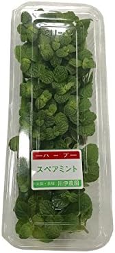 スペアミント 食用ハーブ 1パック Blancaweareg Com