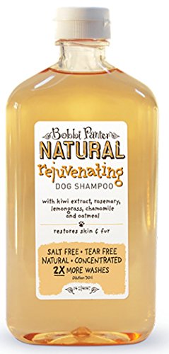 Bobbi Panter Natural Rejuvenating Shampoo, 14.2-Ounce
