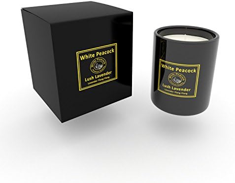 Lush Lavender - Soy Scented Candle in Glass Jar - Lavender &amp; a Dash of Ylang-Ylang - Home Fragrance, Relaxation, Meditation, Spa - Gift Item - Men/Women - Eco-Friendly – Dye &amp; Lead Free - 100% Vegan