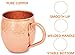 Moscow Mule Copper Mugs – Set of 2 16 oz with Shot Glass and Straws – 100% Pure Copper without Extra Metals – Perfect Quality – A Perfect Gift for any Occasion – Hammered Mug – by ZAFMANN