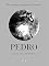 Livro Pedro: O Menino Que Tinha o Coração Cheio de Domingo