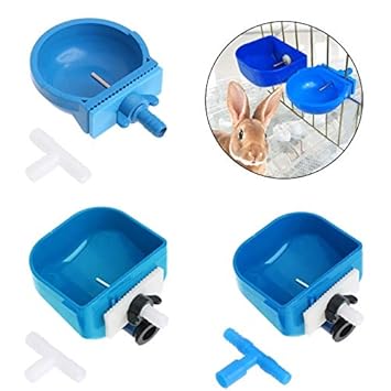Amazon Com Bechtle Rabbit Automatic Drinker Water Feeder Fix