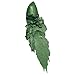 Maybelline New York Color Sensational Green Lipstick Metallic Lipstick, Serpentine, 0.15 oz, 1 Count
