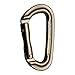 Fusion Climb FP-9301K-ST-MDBRN Contigua II Military Color Edition Grooved Straight Gate Key Nose Carabiner, One Size, Brown