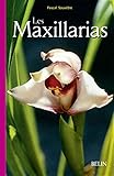 Les Maxillarias by